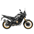 VOGE DS800 RALLY