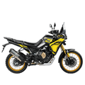 VOGE DS800 RALLY - 2