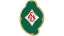 Skövde AIK