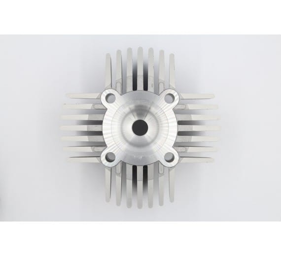 sa01331_grande.jpg_1