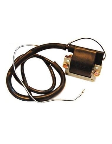 tandspole-yamaha-dt-fs1-b1-7-1.jpg_1