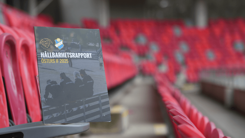 hbrapportwebb.png
